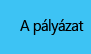 A pályázat